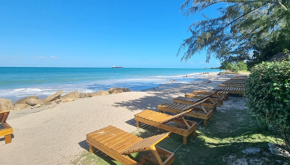 Treehouse Beach Club Beach Loungers