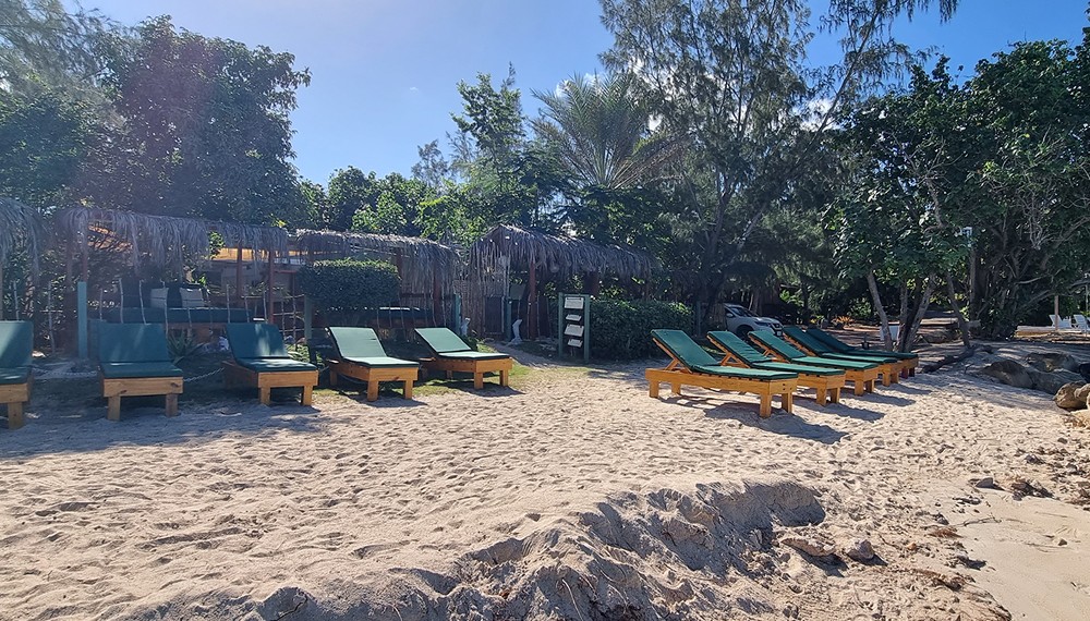 Treehouse Beach Club Beach