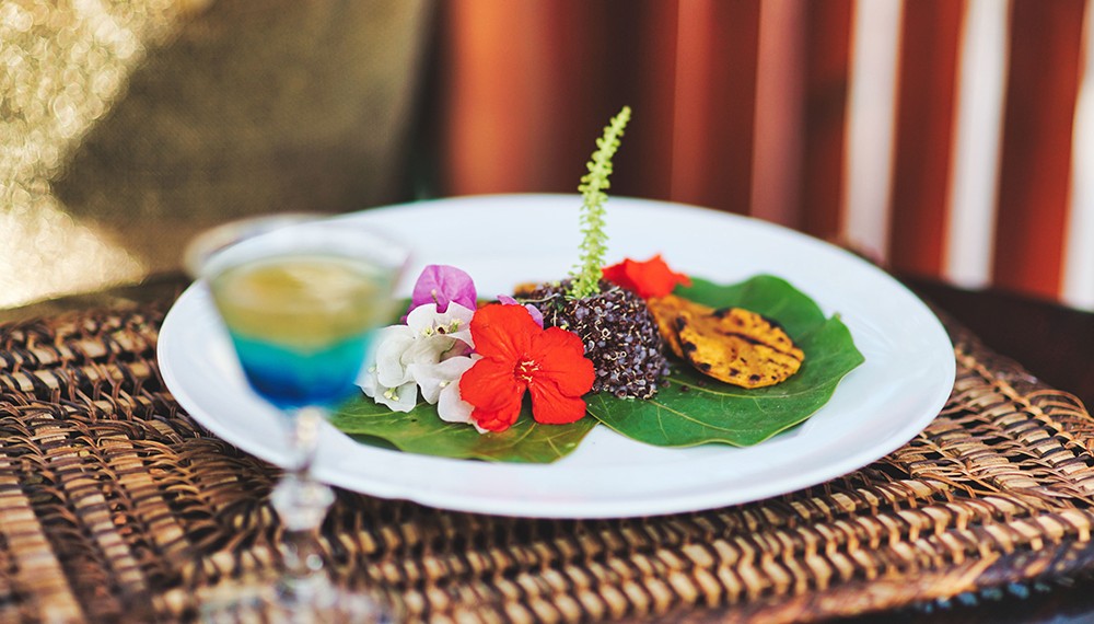 Treehouse Beach Club Lunch Plate