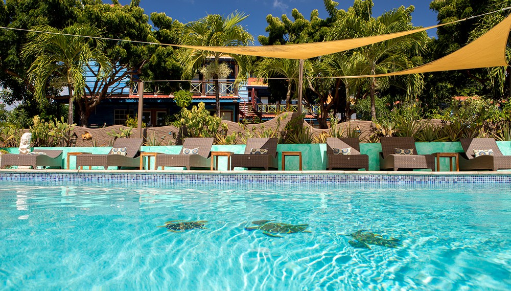 True Blue Bay Boutique Resort Pool 3