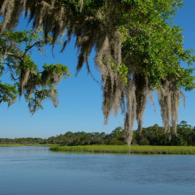 Laura Plantation and Oak Alley Tour