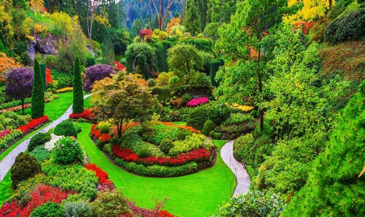 Private City Tour With Butchart Gardens