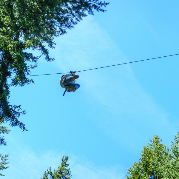 Alaska's Ultimate Canopy Expedition & Juneau Zip Line Tour