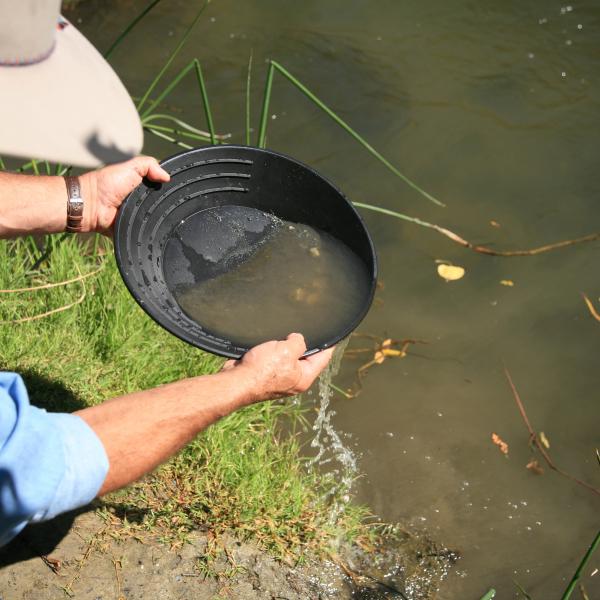 Gold Panning at Gold Creek from Juneau, Alaska 