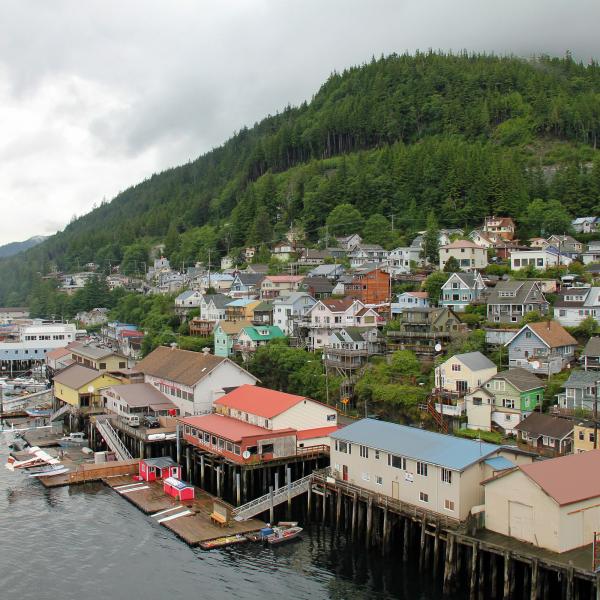 Saxman Native Village and Ketchikan City Tour image 2