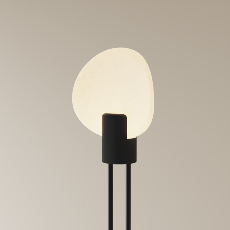 Pavone Carbon