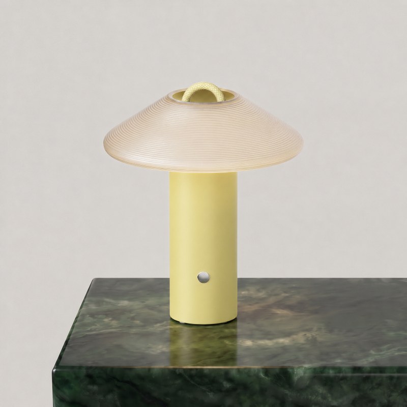 Eave Slim Lichen