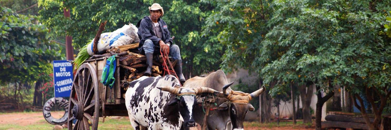 Gap Year Programs in Paraguay