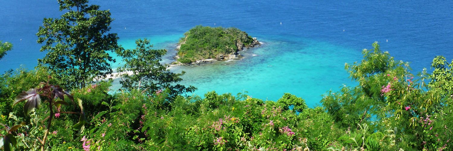 Study Abroad in US Virgin Islands