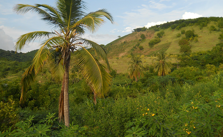 Volunteering in Haiti is more than a tropical vacation, so make sure youre ready.