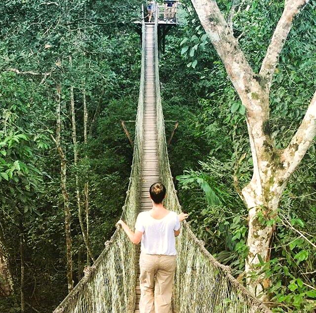 Rope bridge in Peru