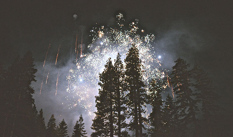 fireworks behind pines