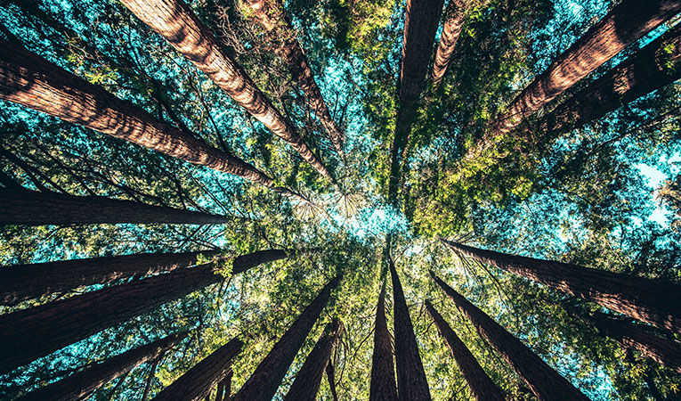 Self-discovery retreats abroad