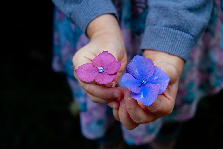 Woman holding red and blue flower