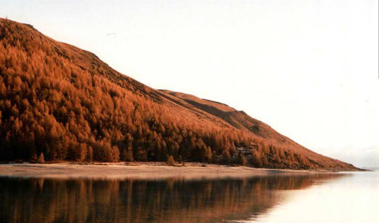 Why study abroad in New Zealand?