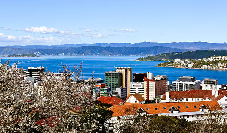 Why study abroad in New Zealand?