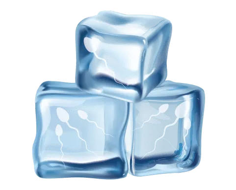 Semen Freezing