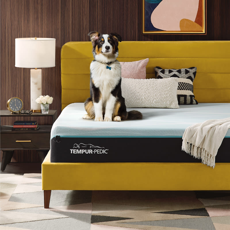 Gardner White Labor Day Sale Save Up To 80 Off