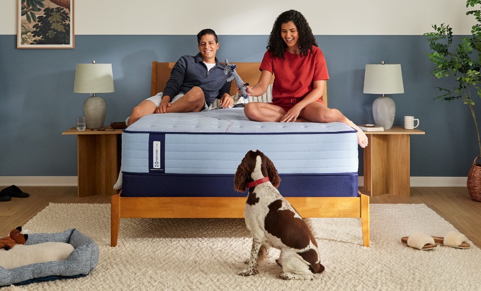 A man and a woman sitting atop a light blue Sealy mattress with a brown and white dog on the floor looking up at them.