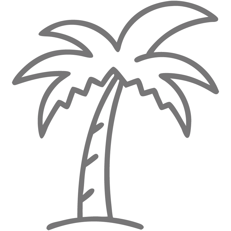 Palm tree