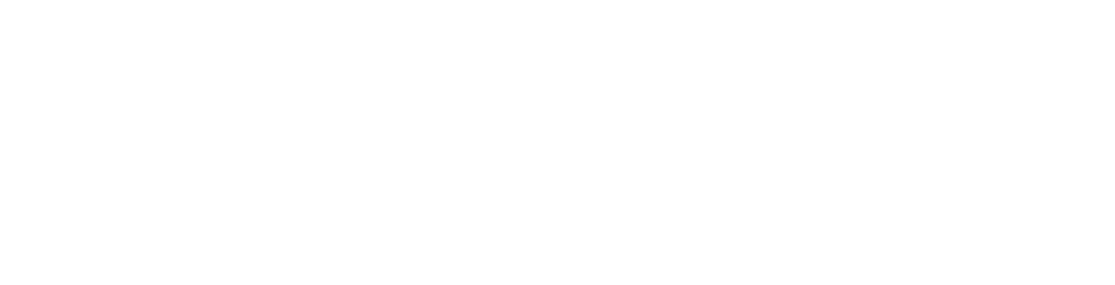 2 Free Pillows banner