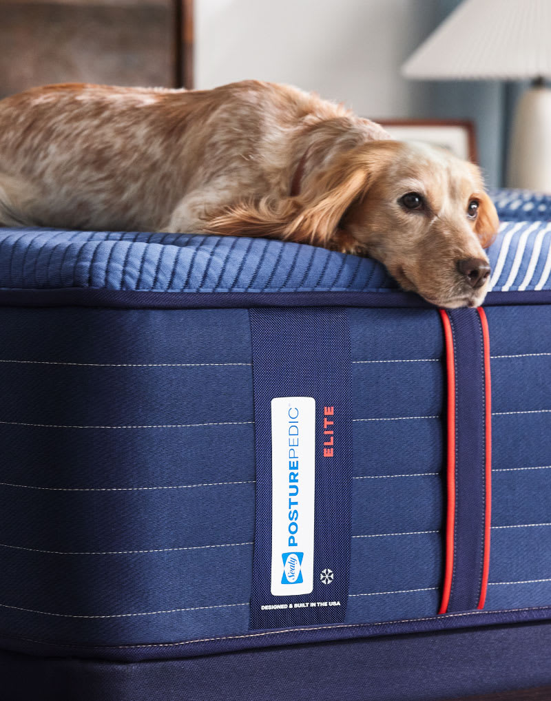 Mattress in a bedroom.