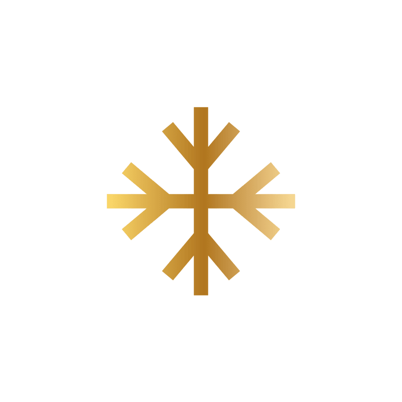 Snowflake icon