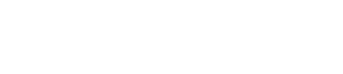 iComfort Pro