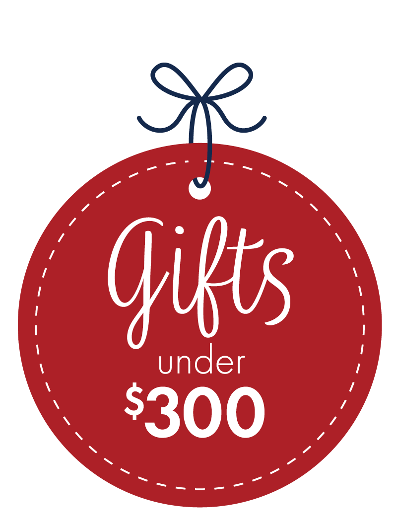 Gifts under $300