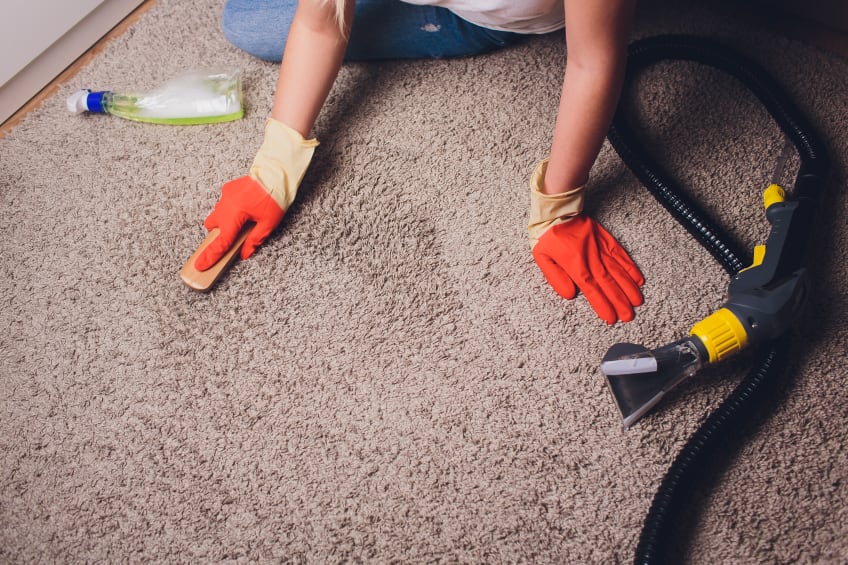 A woman in protective gloves scrubbing clean a rug 