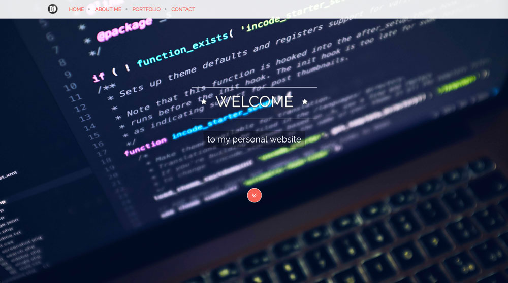 Portfolio (old version)