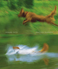 The cover of Beautiful Evidence showing a blurred photograph of a brown dog jumping into a body of water with a vivid green background. The top half shows the dog in mid-air and the bottom half shows the dog splashing down in the water.