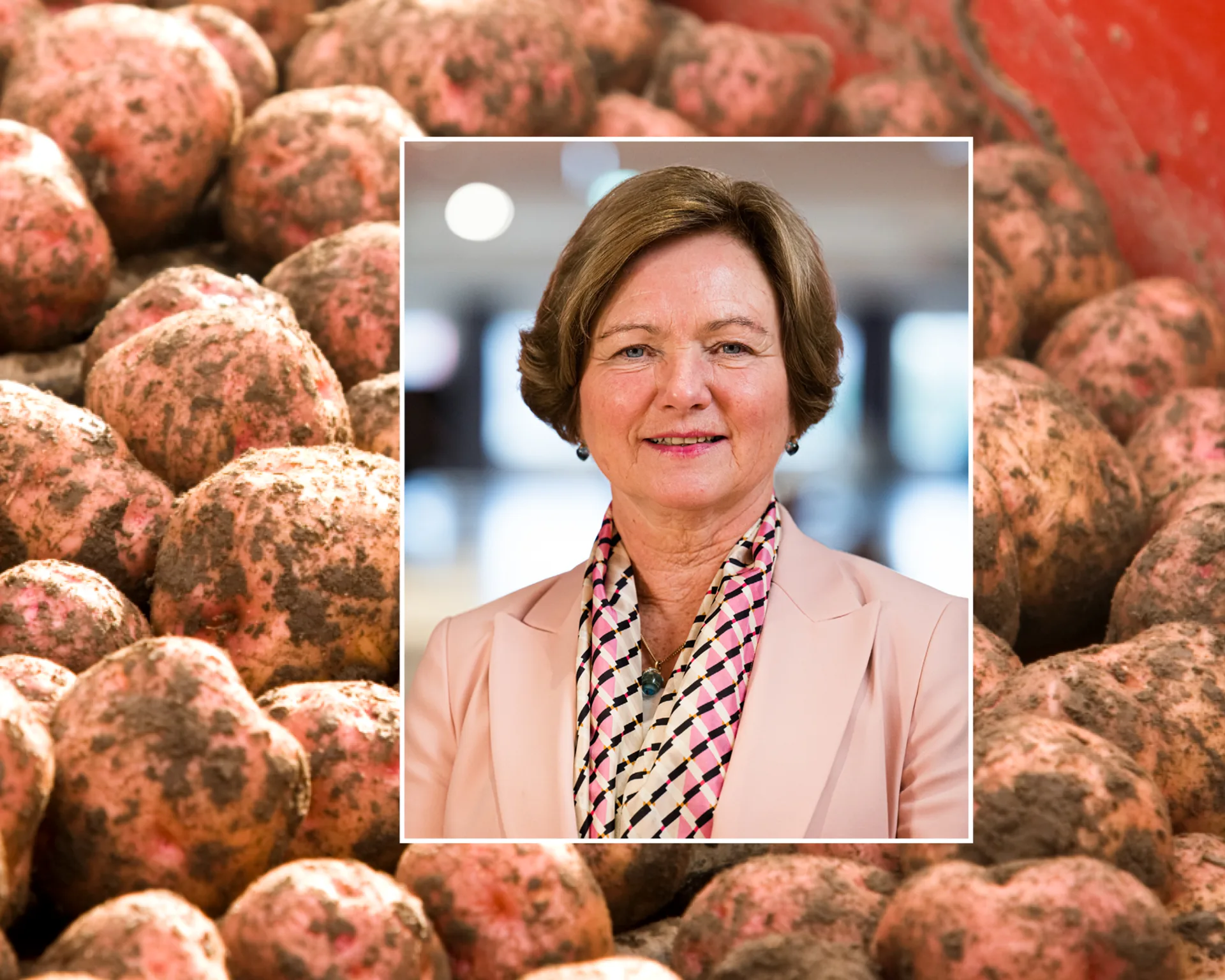 Collage, potethøsting og portrett av Elisabeth Morthen
