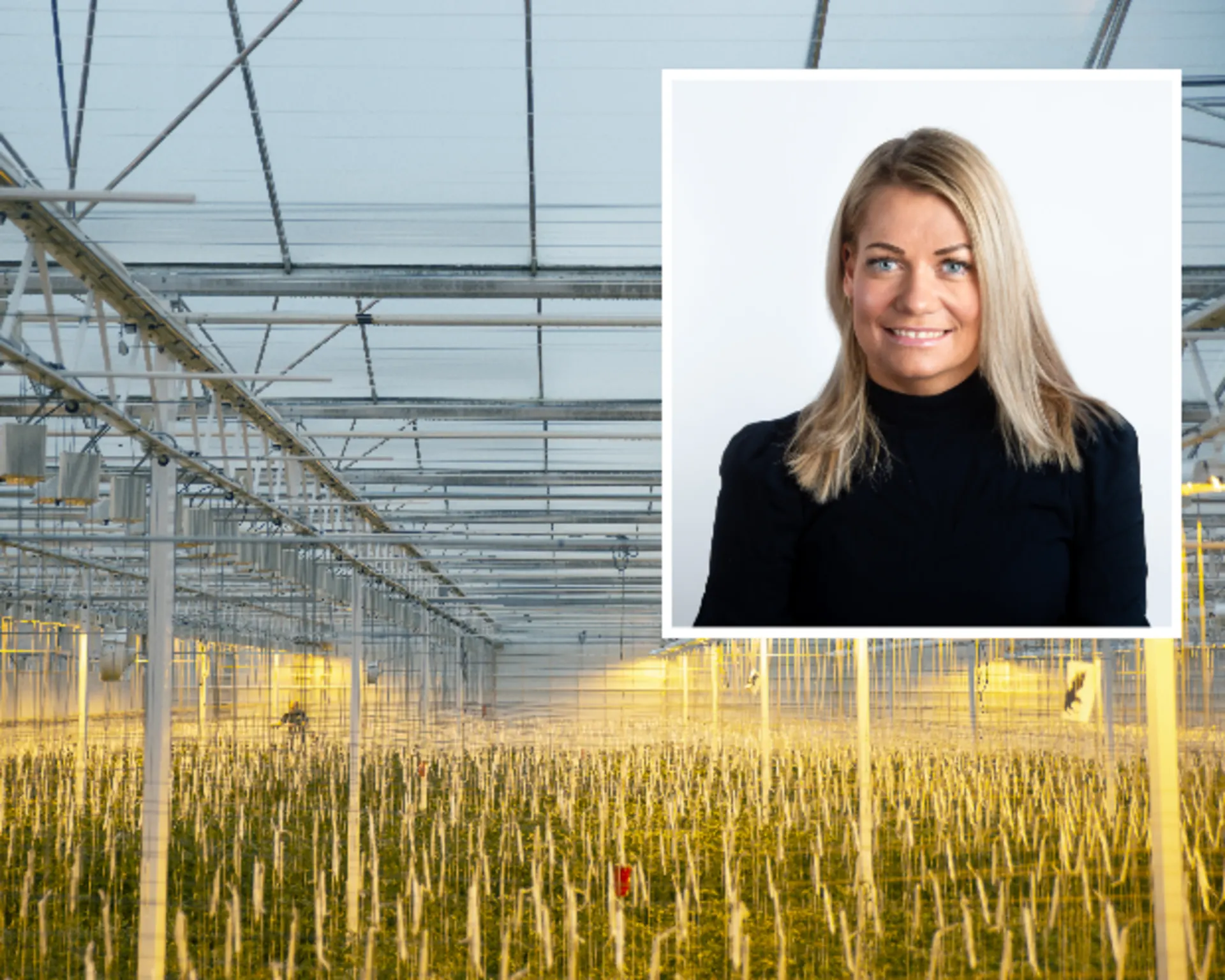 Sandra Borch utsnitt portrett over bilde av veksthus