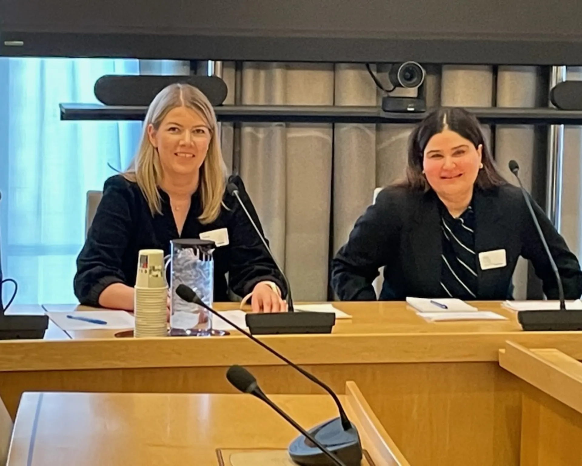 Gunn Jorunn Sørum i høring i næringskomiteen