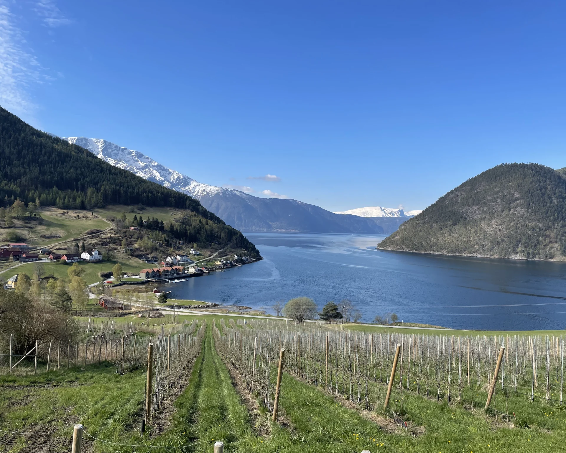 Vår i Sogn, Amble Gård