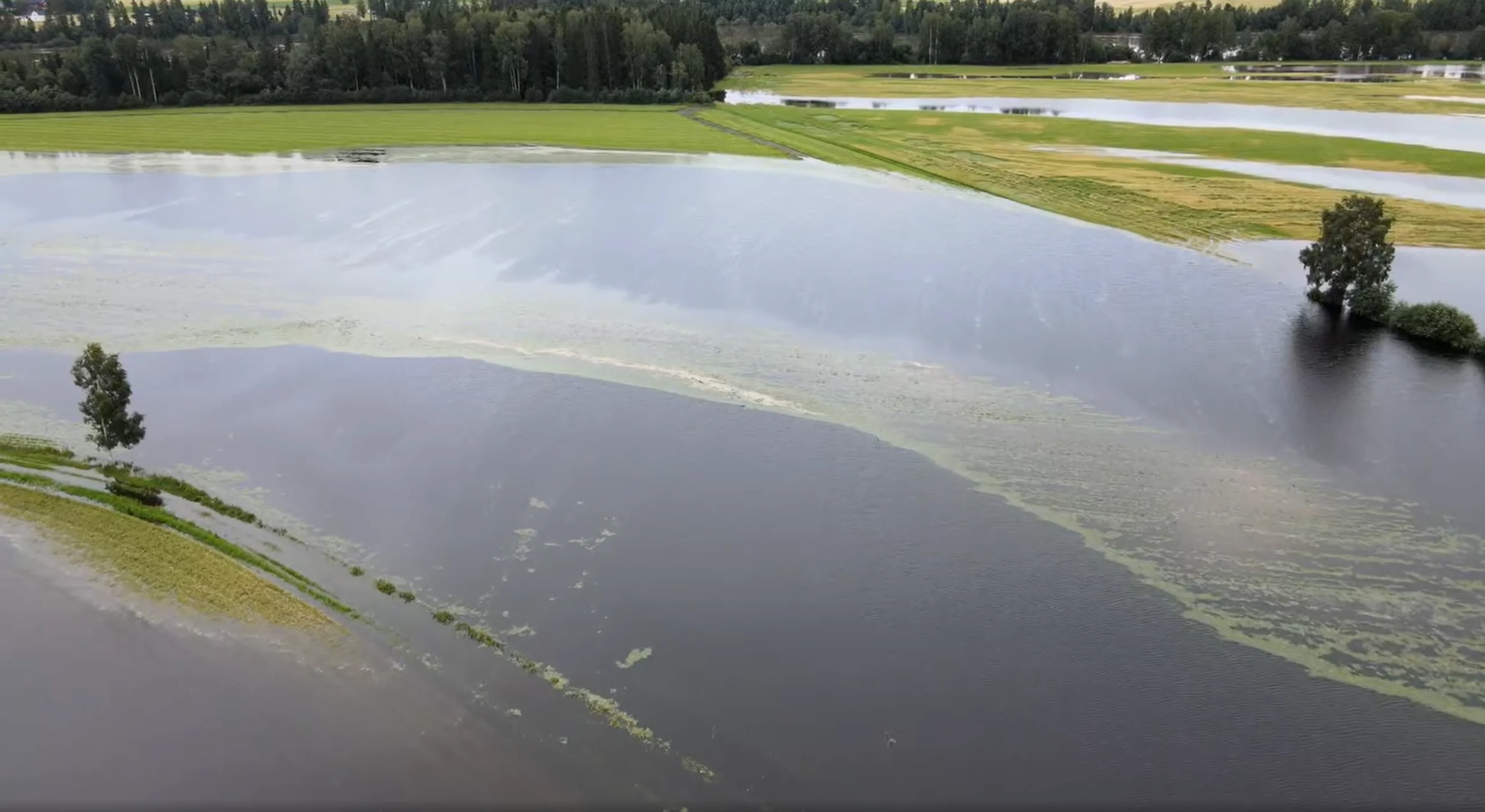Dronebilder som viser flomskader i Solør. potet