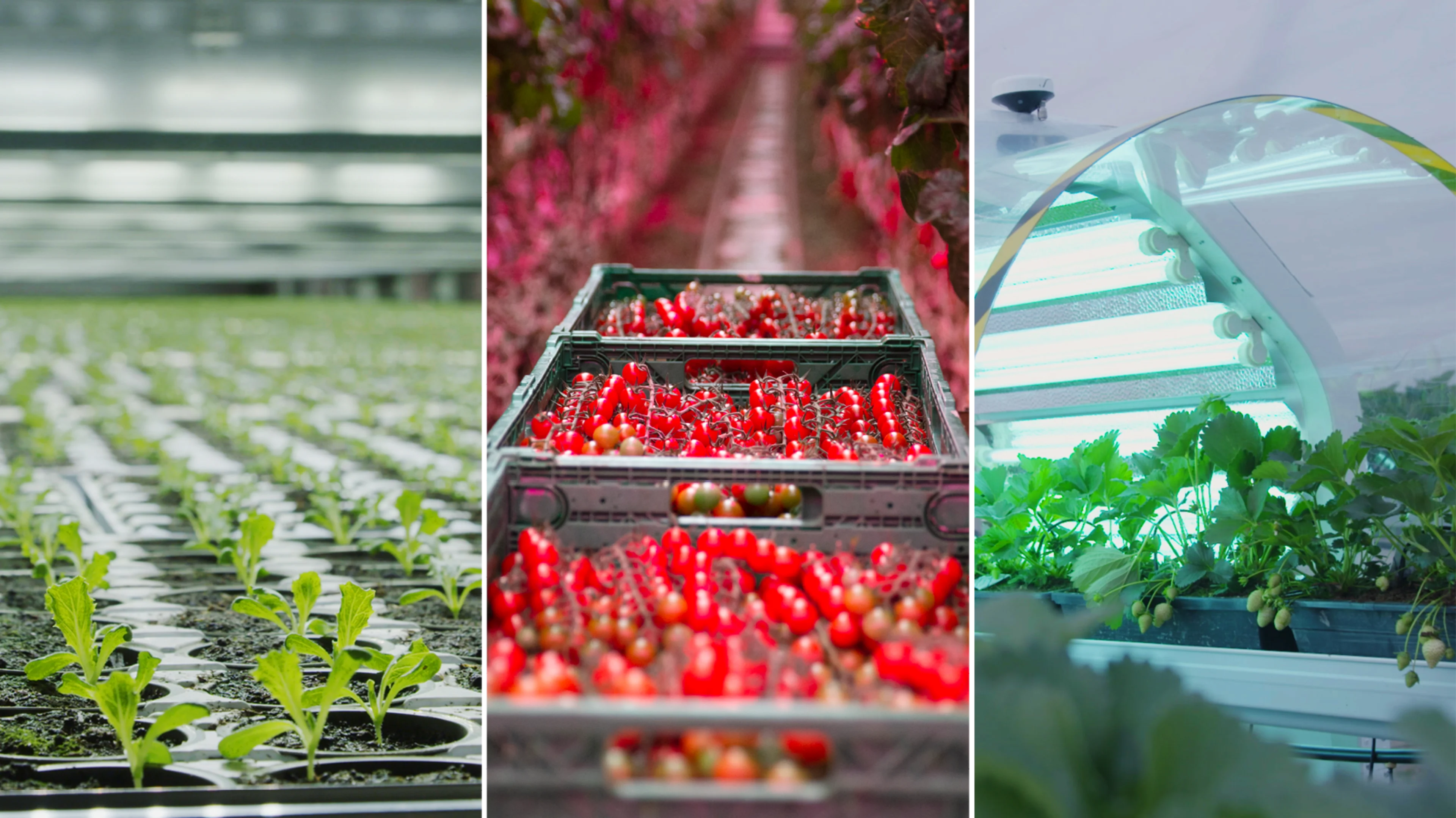 Innovasjonsprisen 2021 finalister