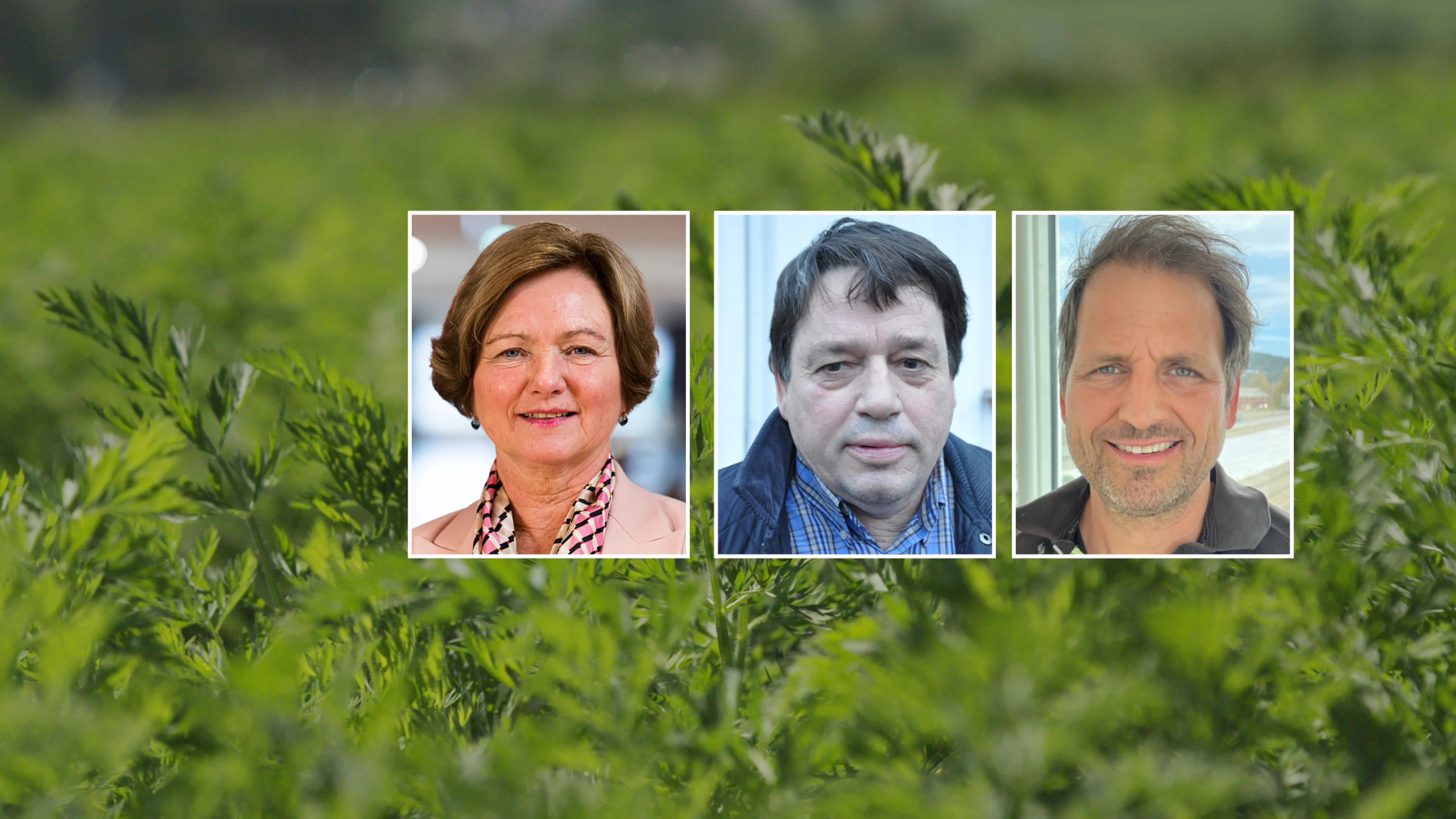 Elisabeth Morthen _ Eilif Due _ Hans Albert Husebye
Gartnerhallen, Nordgrønt, Produsentforeningen 1909