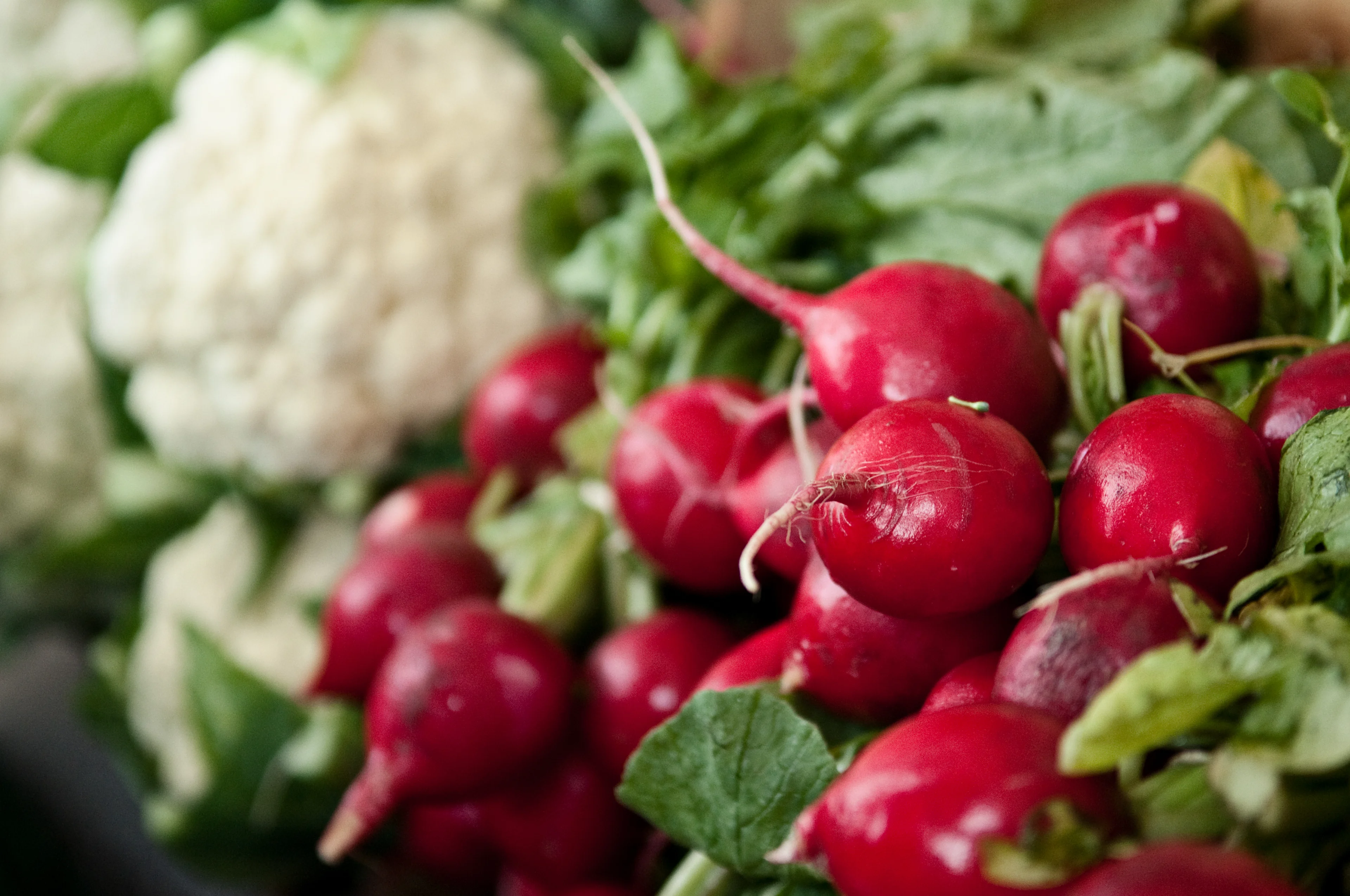 Reddiker og blomkål