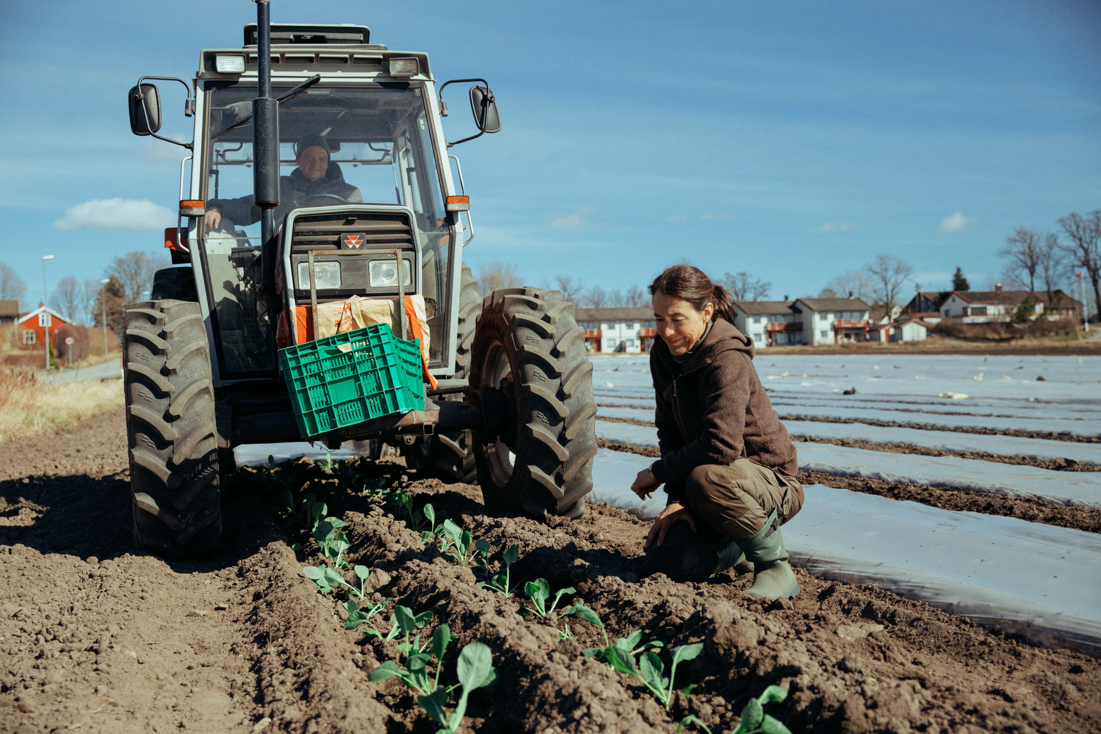 Karine Huseby Vestfold kålproduksjon