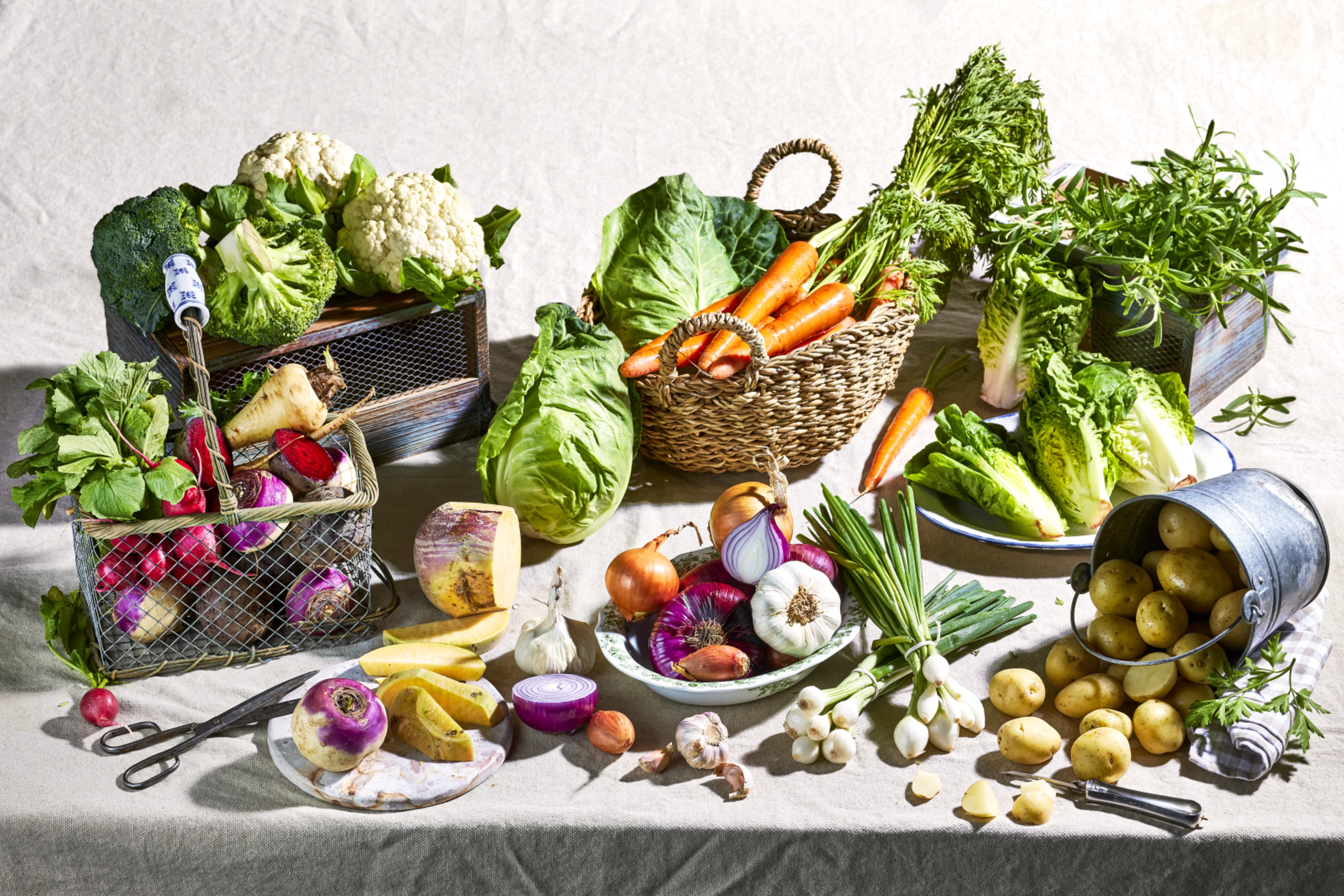 Utvalg norske grønnsaker