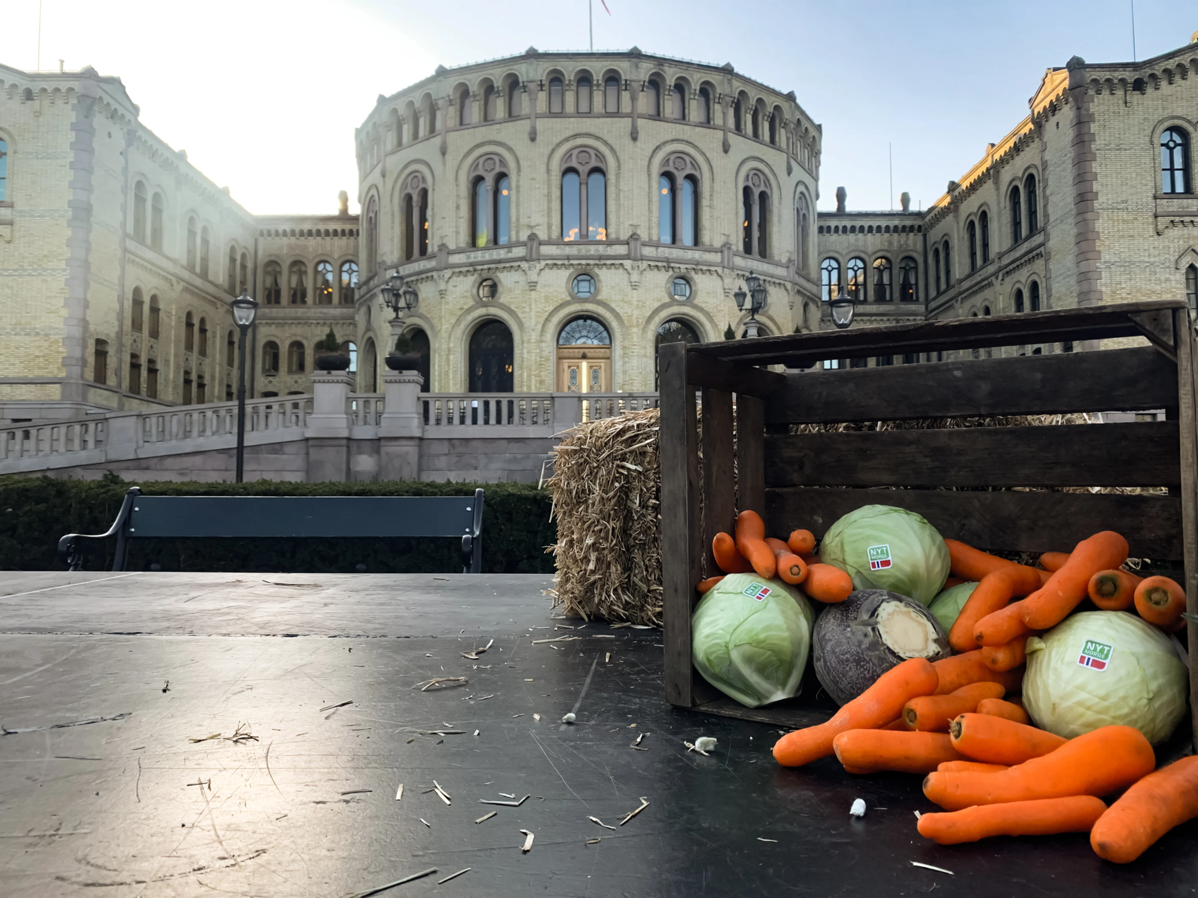 Norske grønnnsaker i en kasse foran Stortinget