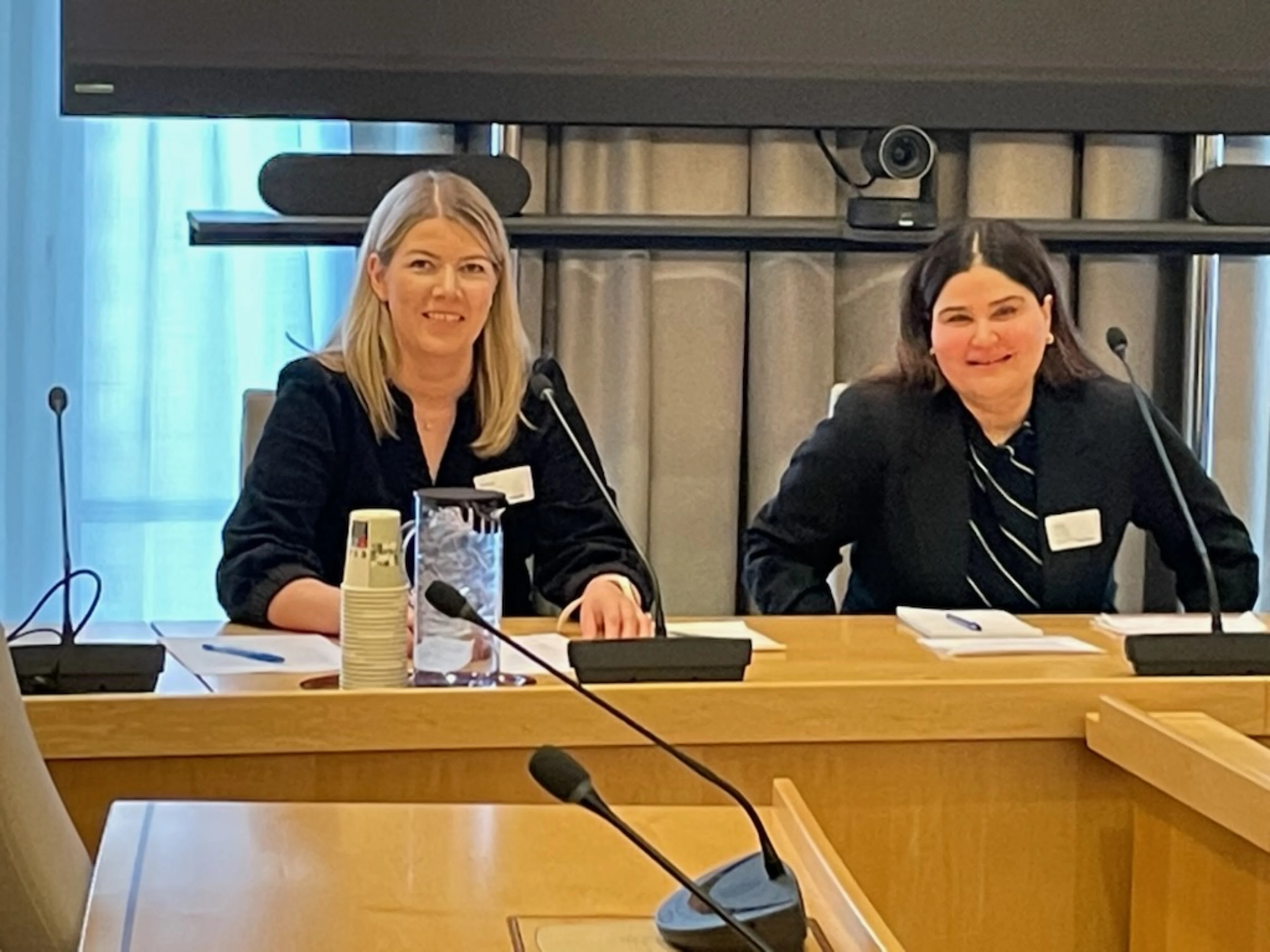 Gunn Jorunn Sørum i høring i næringskomiteen