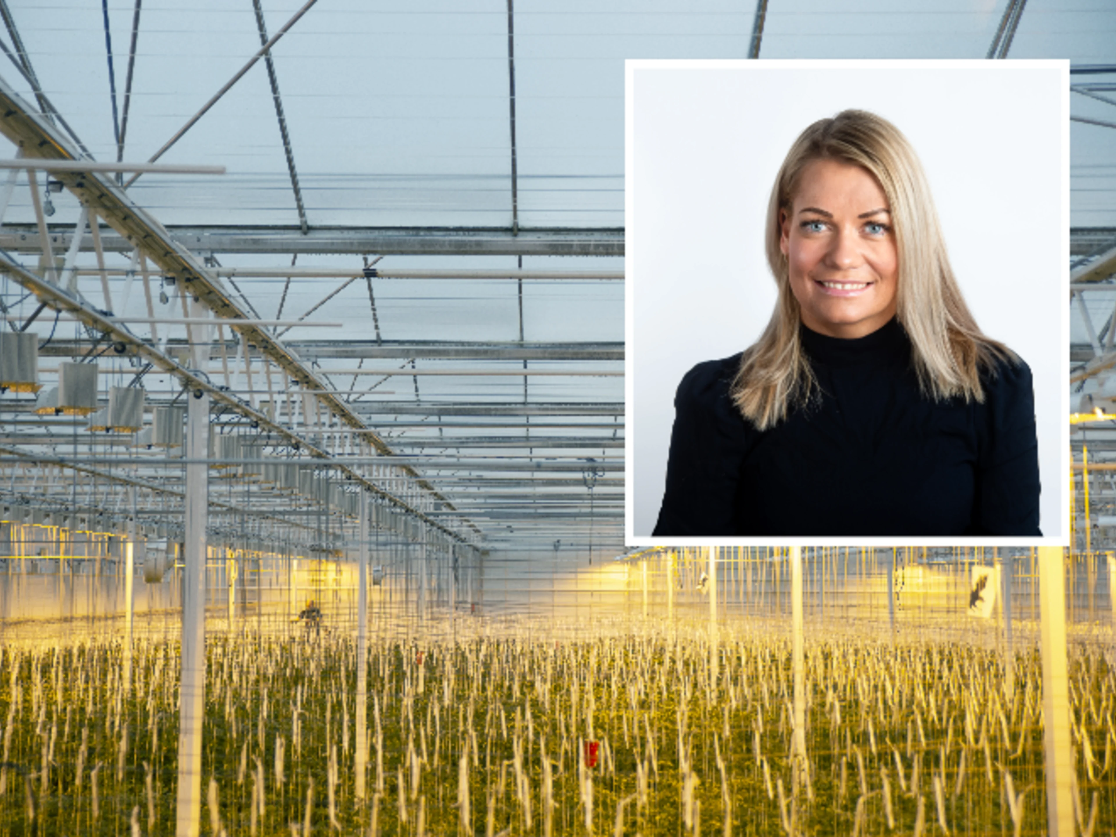 Sandra Borch utsnitt portrett over bilde av veksthus