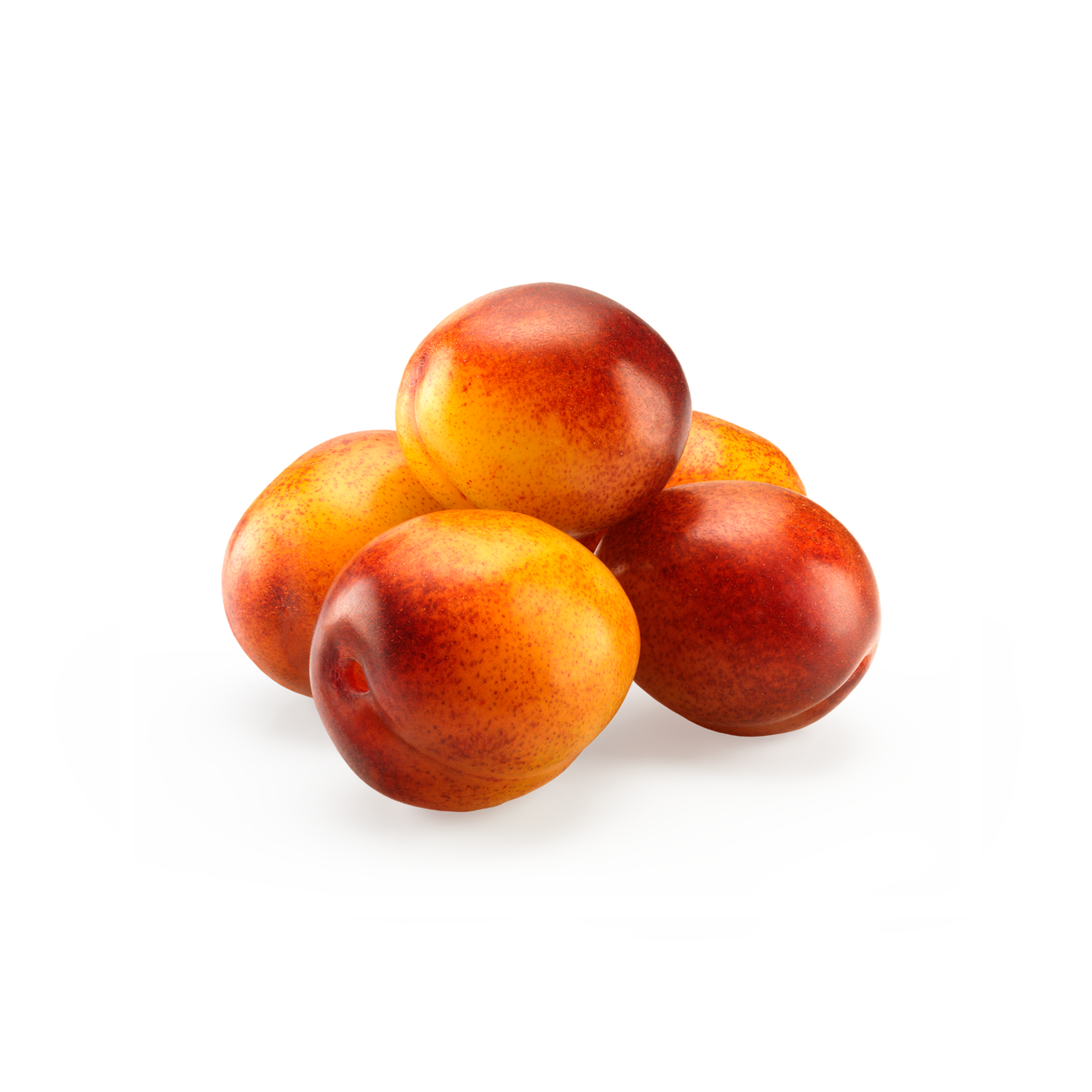 Plommer i haug, Opal