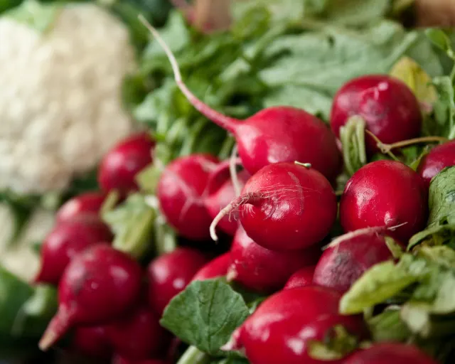 Reddiker og blomkål