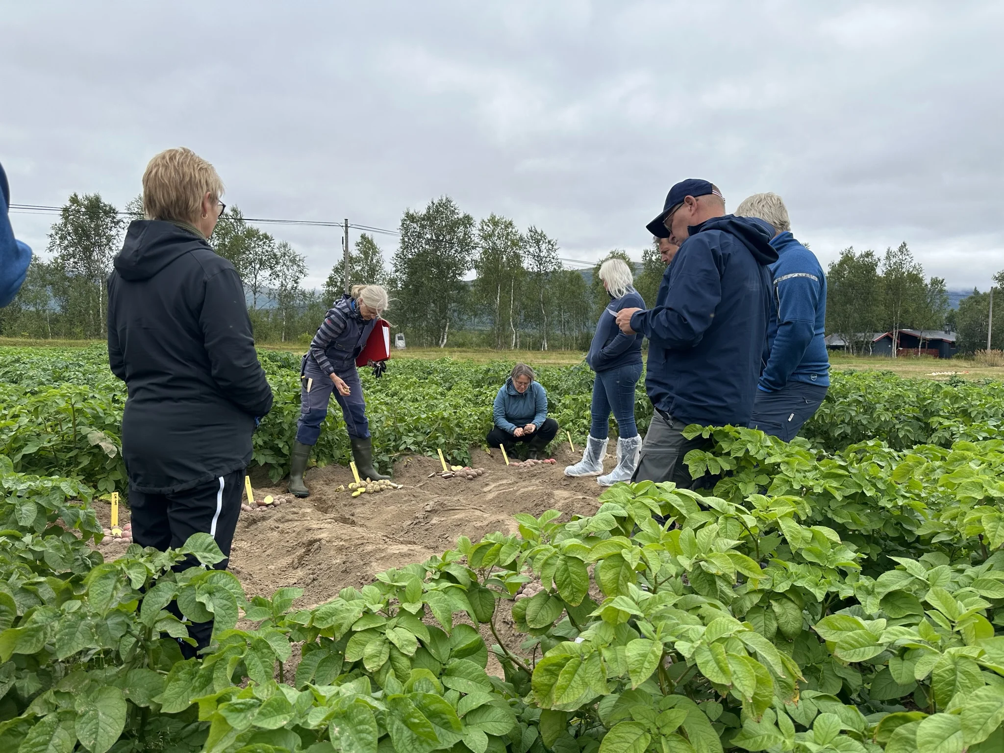 Markvandring GH Nord 25.august 2023