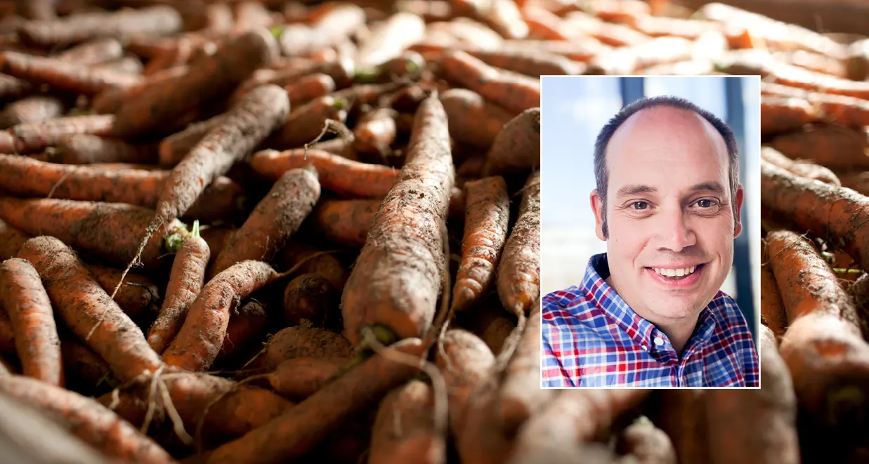 Bilde av gulrot på lager med utsnitt bilde av Nils Olve Gillund