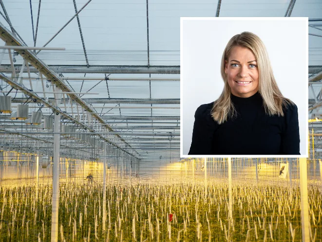 Sandra Borch utsnitt portrett over bilde av veksthus